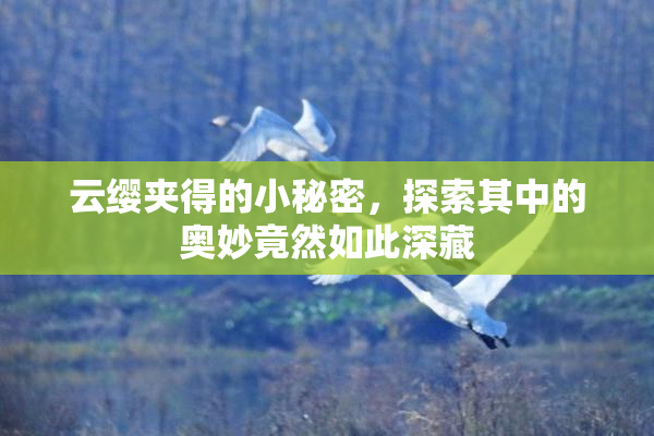 云缨夹得的小秘密，探索其中的奥妙竟然如此深藏