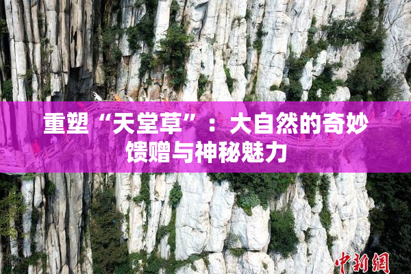 重塑“天堂草”：大自然的奇妙馈赠与神秘魅力