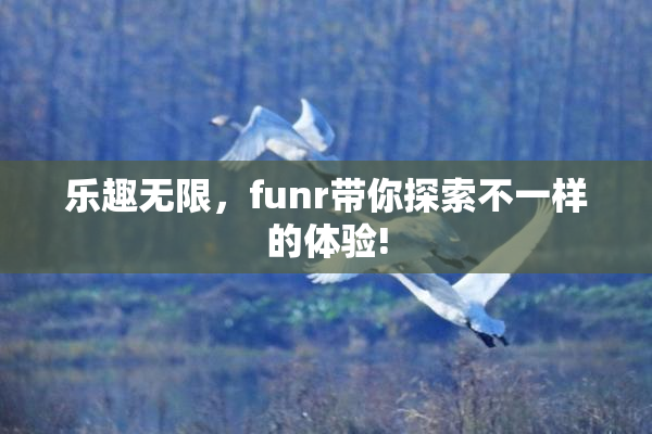 乐趣无限，funr带你探索不一样的体验!