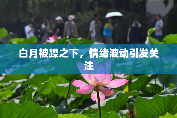 白月被躁之下，情绪波动引发关注