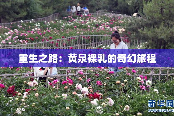 重生之路：黄泉裸乳的奇幻旅程
