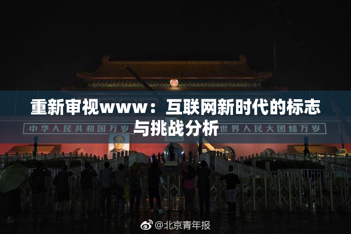 重新审视www：互联网新时代的标志与挑战分析