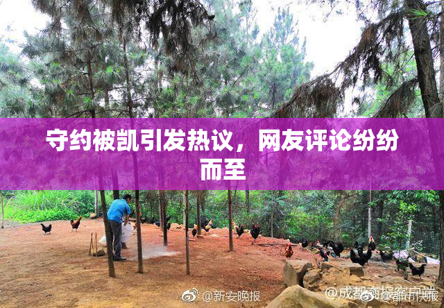 守约被凯引发热议，网友评论纷纷而至
