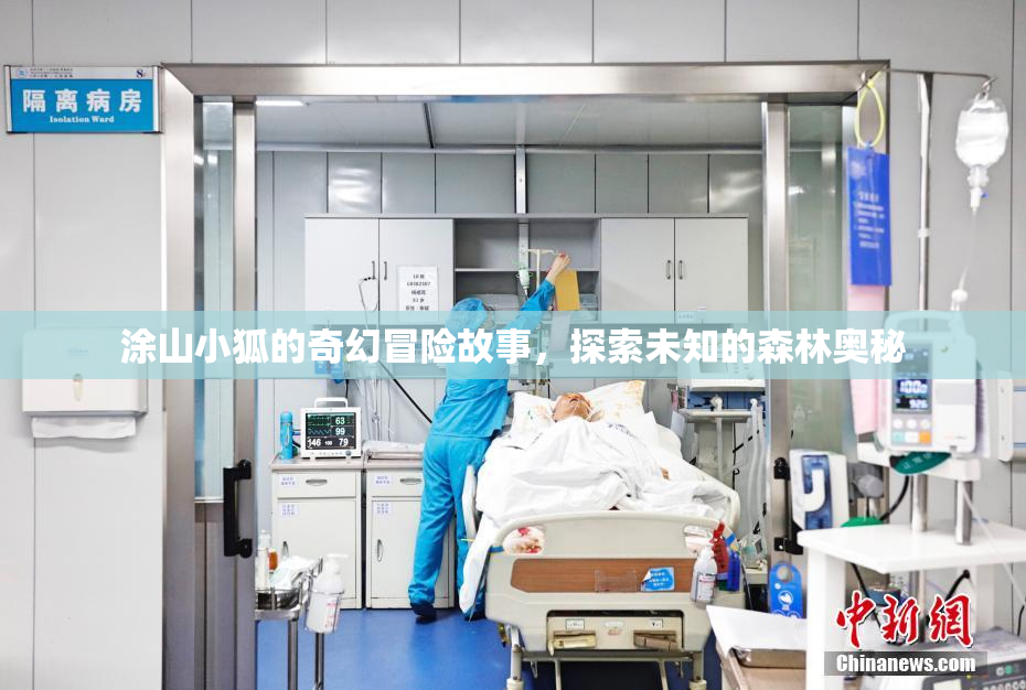 涂山小狐的奇幻冒险故事，探索未知的森林奥秘