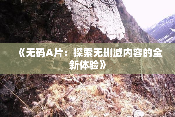 《无码A片：探索无删减内容的全新体验》