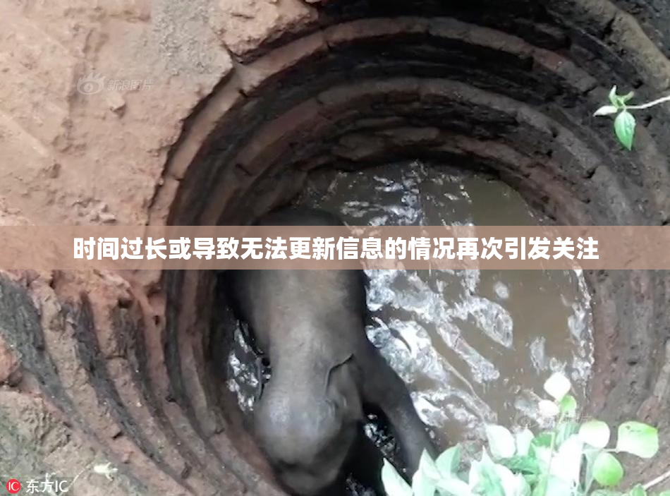 时间过长或导致无法更新信息的情况再次引发关注