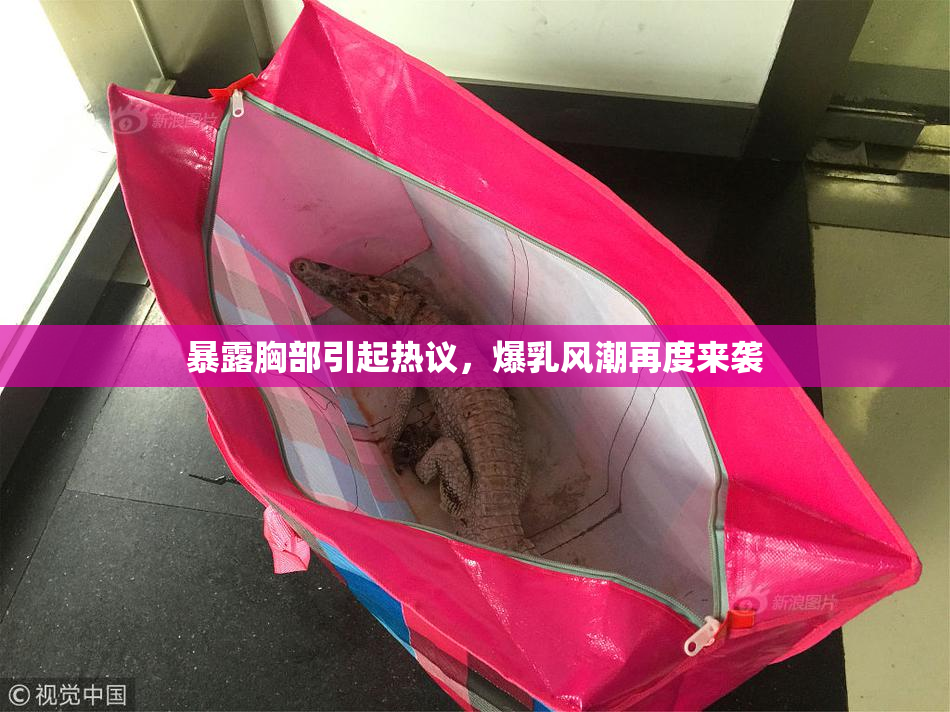 暴露胸部引起热议，爆乳风潮再度来袭