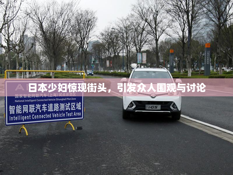 日本少妇惊现街头，引发众人围观与讨论