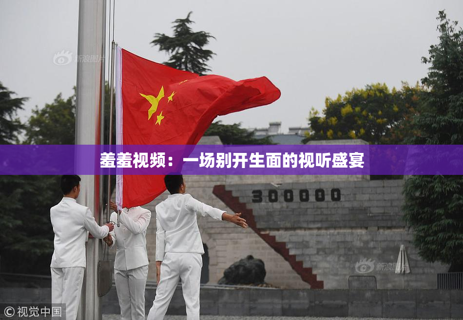 羞羞视频：一场别开生面的视听盛宴