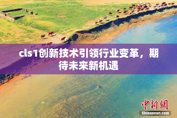cls1创新技术引领行业变革，期待未来新机遇
