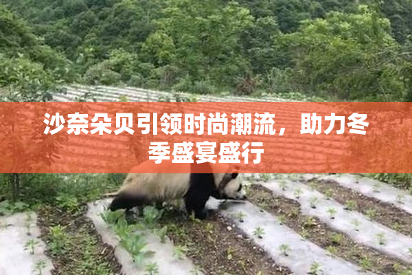 沙奈朵贝引领时尚潮流，助力冬季盛宴盛行