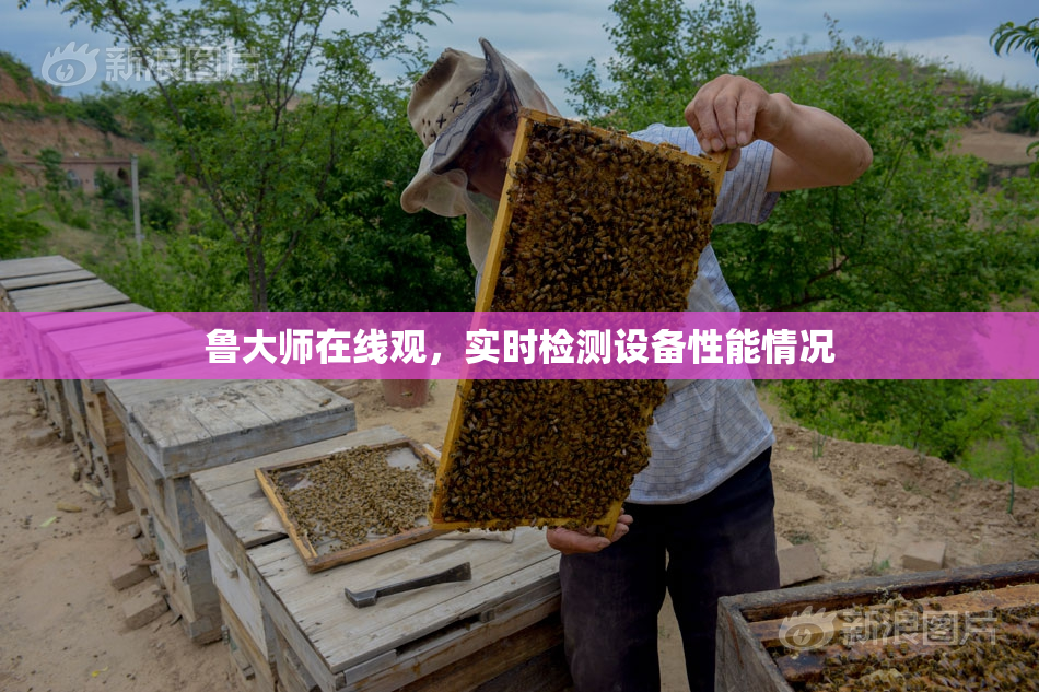 鲁大师在线观，实时检测设备性能情况