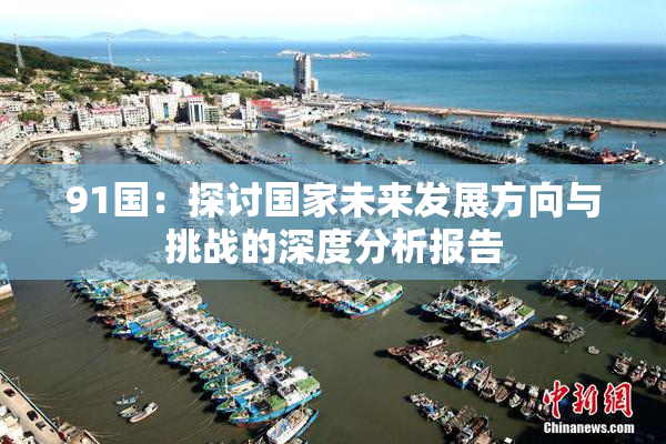 91国：探讨国家未来发展方向与挑战的深度分析报告