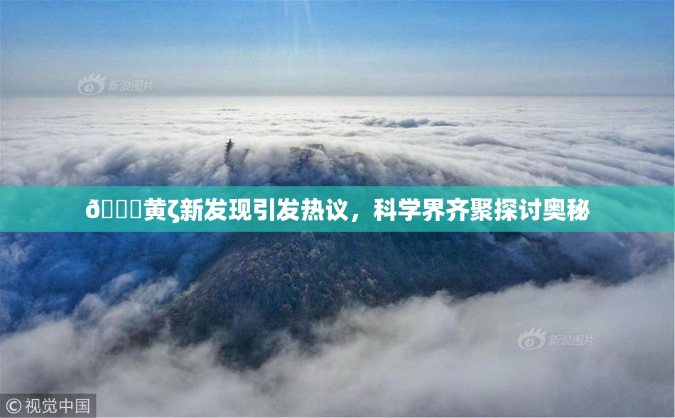 🔞黄ζ新发现引发热议，科学界齐聚探讨奥秘