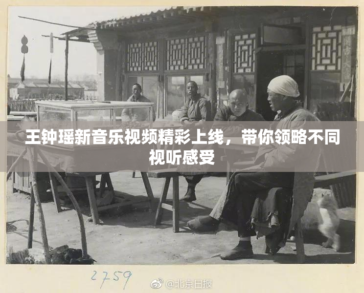 王钟瑶新音乐视频精彩上线，带你领略不同视听感受