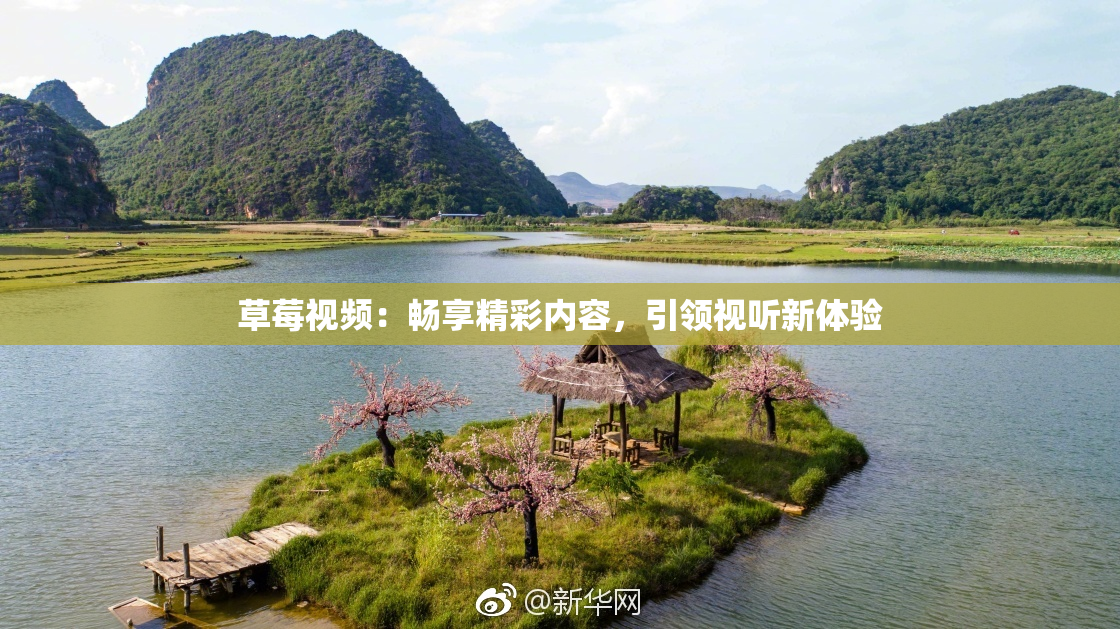 草莓视频：畅享精彩内容，引领视听新体验