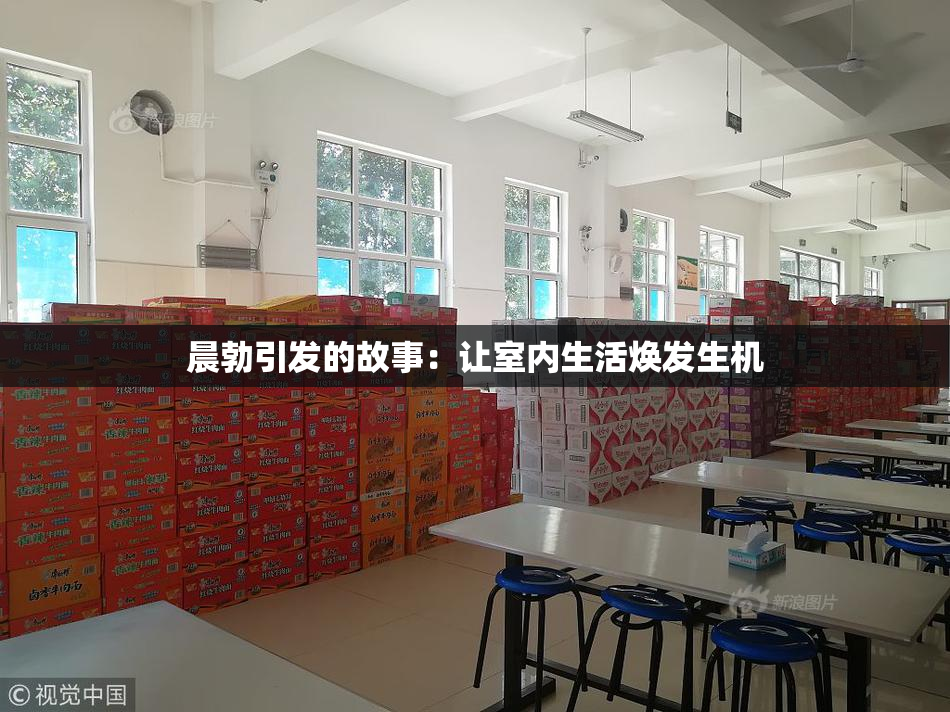 晨勃引发的故事：让室内生活焕发生机