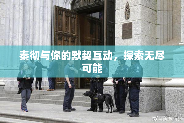 秦彻与你的默契互动，探索无尽可能