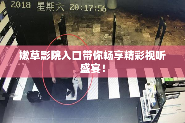 嫩草影院入口带你畅享精彩视听盛宴！