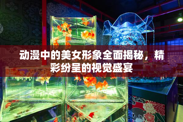 动漫中的美女形象全面揭秘，精彩纷呈的视觉盛宴