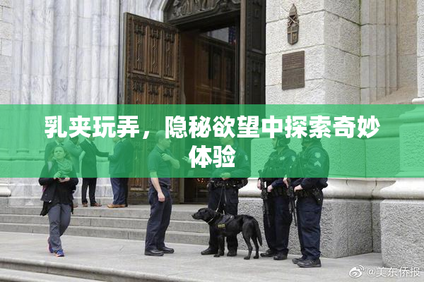 乳夹玩弄，隐秘欲望中探索奇妙体验
