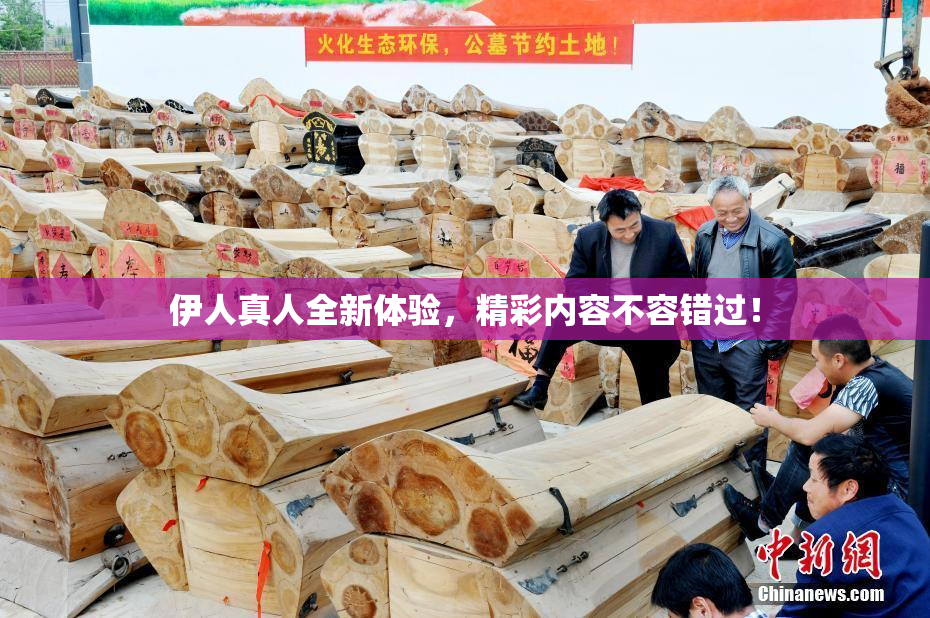 伊人真人全新体验，精彩内容不容错过！