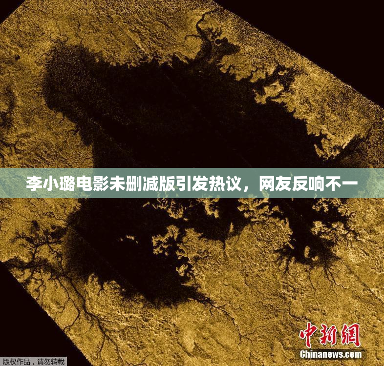 李小璐电影未删减版引发热议，网友反响不一