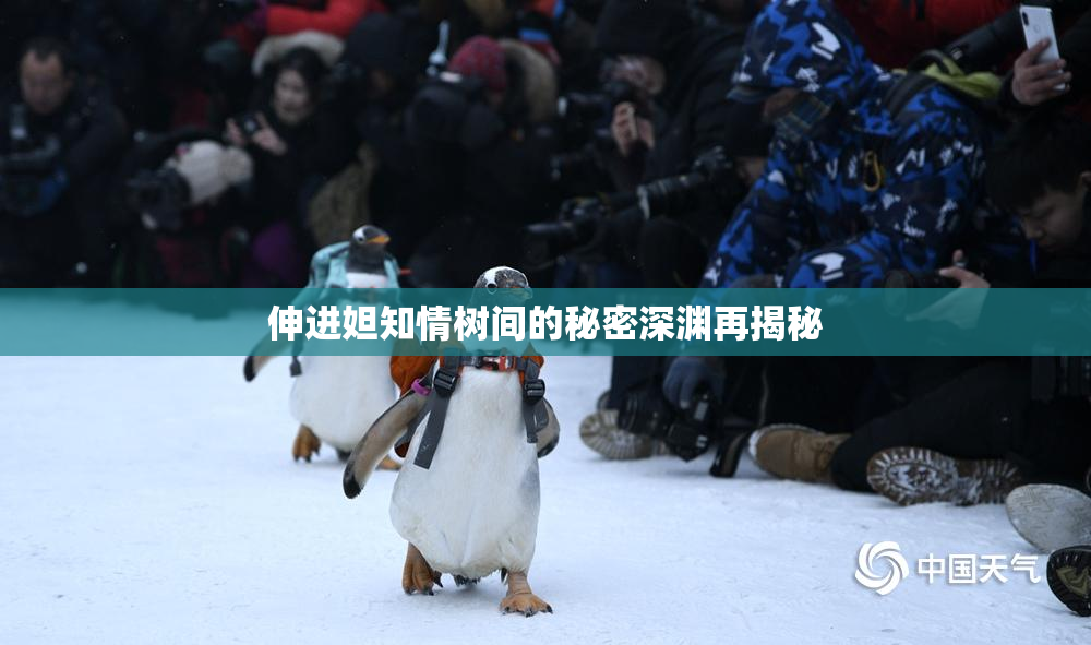 伸进妲知情树间的秘密深渊再揭秘