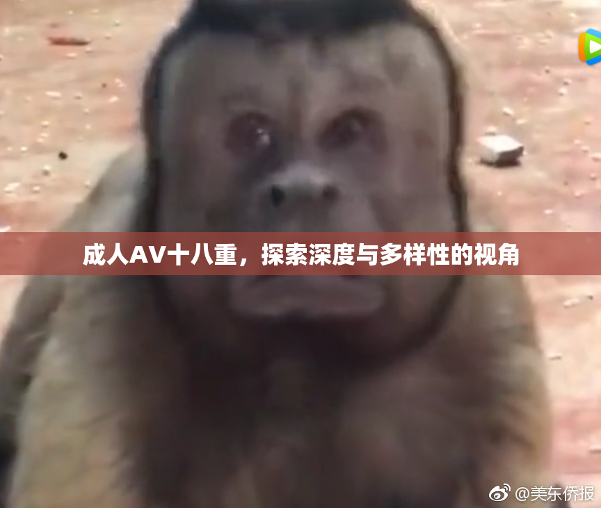 成人AV十八重，探索深度与多样性的视角