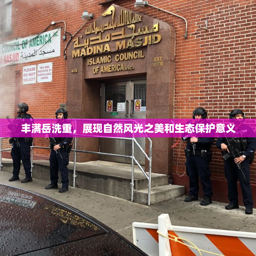 丰满岳洗重，展现自然风光之美和生态保护意义