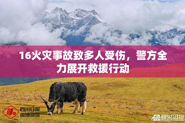 16火灾事故致多人受伤，警方全力展开救援行动