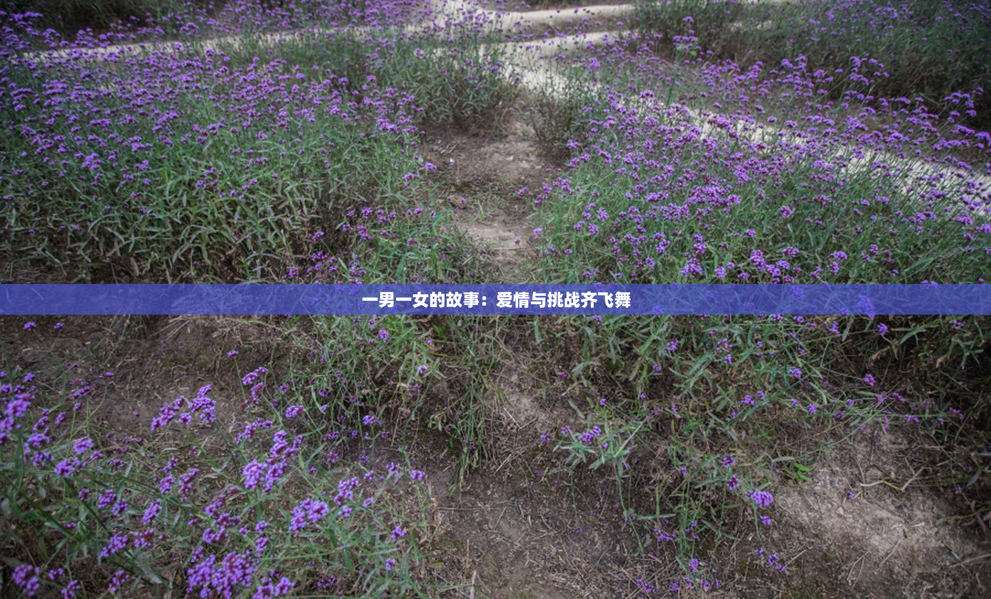 一男一女的故事：爱情与挑战齐飞舞