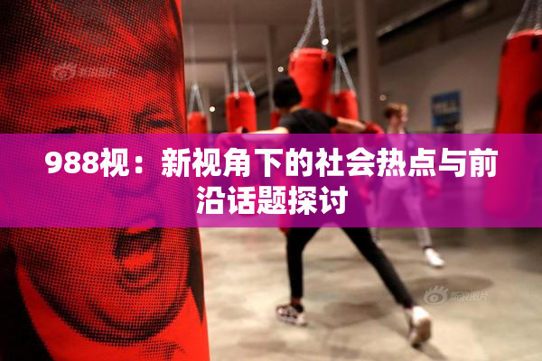 988视：新视角下的社会热点与前沿话题探讨