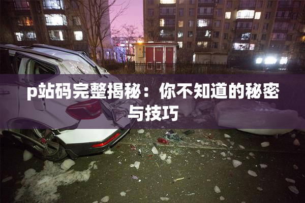 p站码完整揭秘：你不知道的秘密与技巧