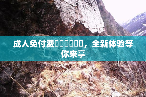 成人免付费❌‌❌‌❌‌，全新体验等你来享