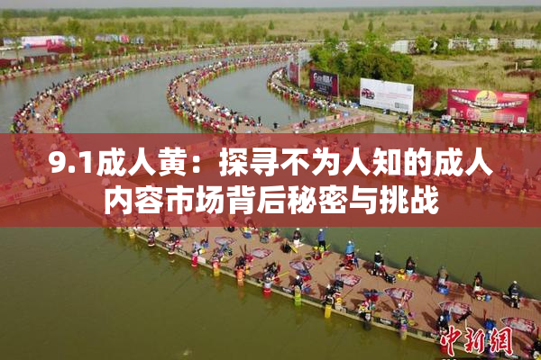 9.1成人黄：探寻不为人知的成人内容市场背后秘密与挑战