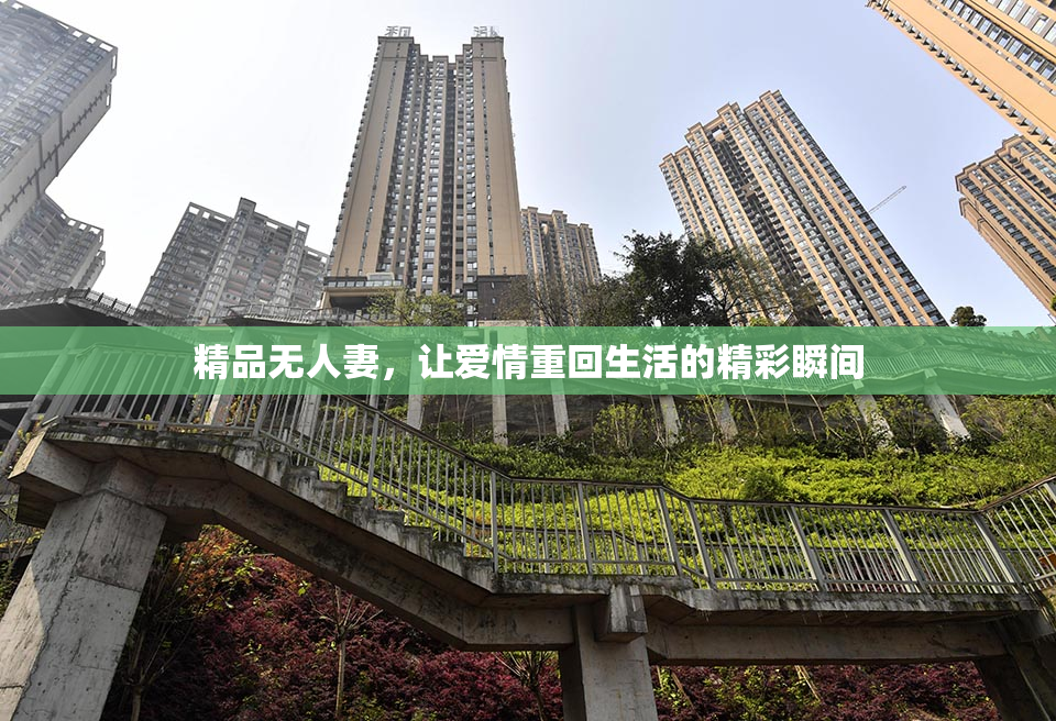 精品无人妻，让爱情重回生活的精彩瞬间