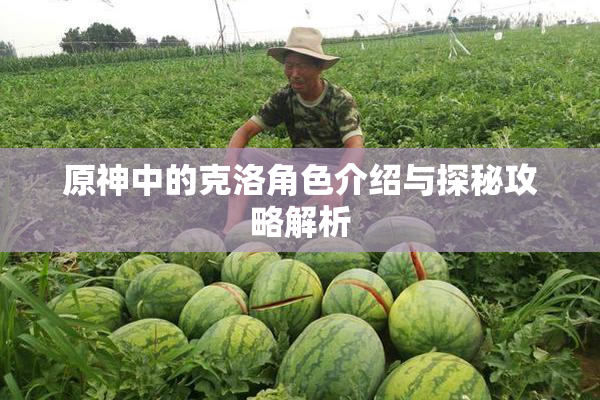 原神中的克洛角色介绍与探秘攻略解析