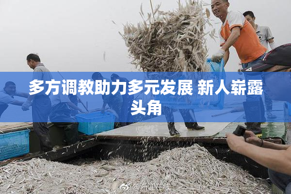 多方调教助力多元发展 新人崭露头角