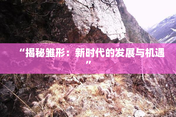 “揭秘雏形：新时代的发展与机遇”