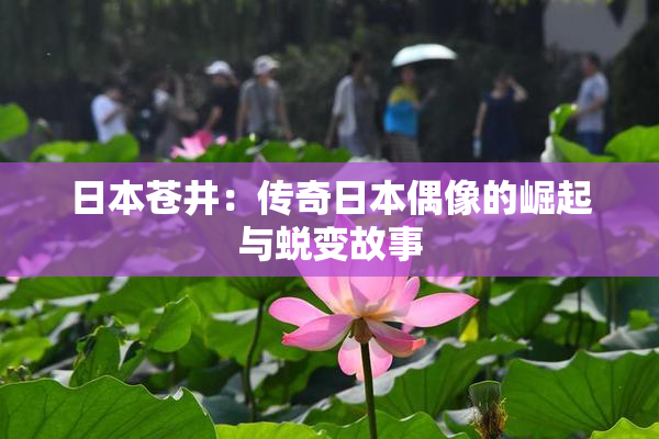 日本苍井：传奇日本偶像的崛起与蜕变故事