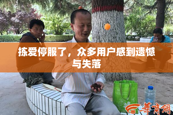 拣爱停服了，众多用户感到遗憾与失落