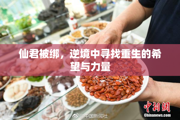 仙君被绑，逆境中寻找重生的希望与力量