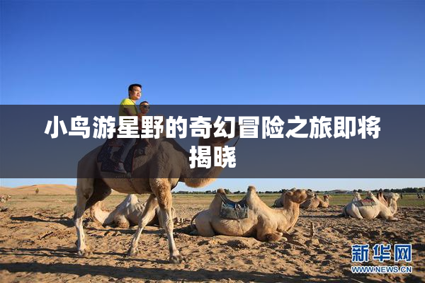 小鸟游星野的奇幻冒险之旅即将揭晓