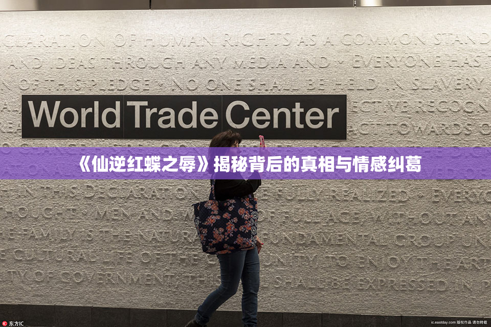 《仙逆红蝶之辱》揭秘背后的真相与情感纠葛