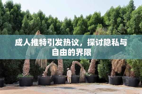 成人推特引发热议，探讨隐私与自由的界限