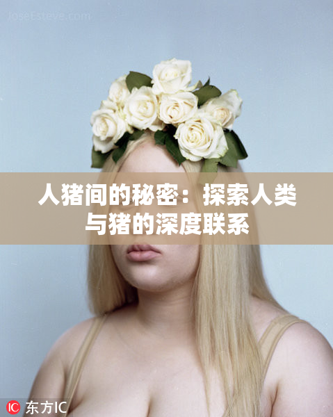 人猪间的秘密：探索人类与猪的深度联系