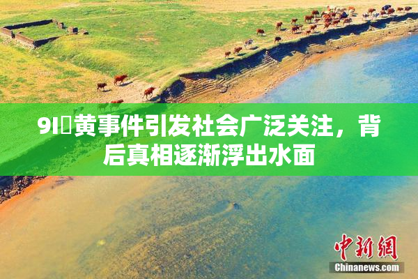 9I婬黄事件引发社会广泛关注，背后真相逐渐浮出水面