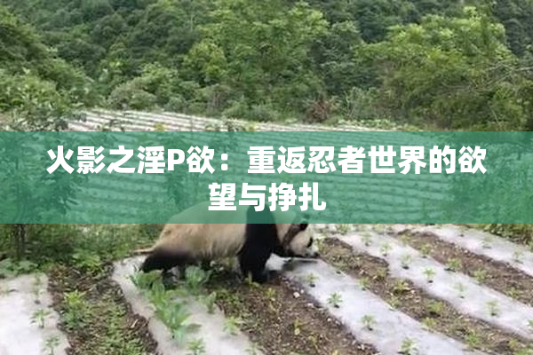 火影之淫P欲：重返忍者世界的欲望与挣扎
