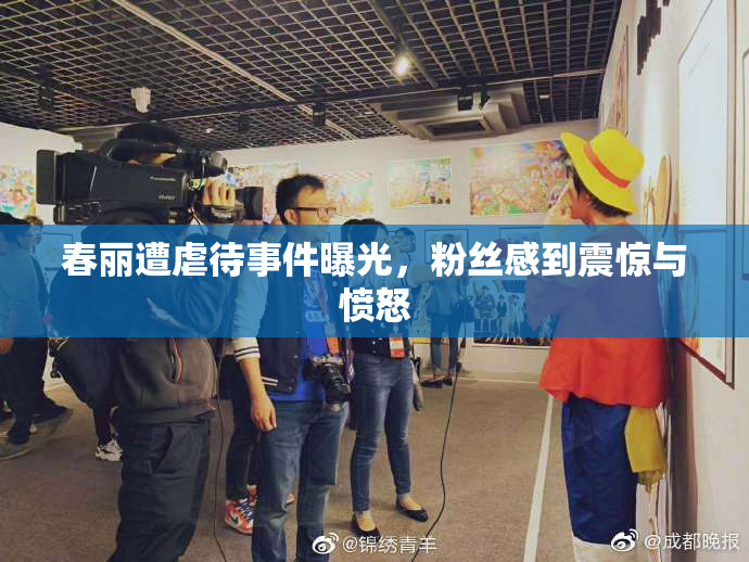 春丽遭虐待事件曝光，粉丝感到震惊与愤怒